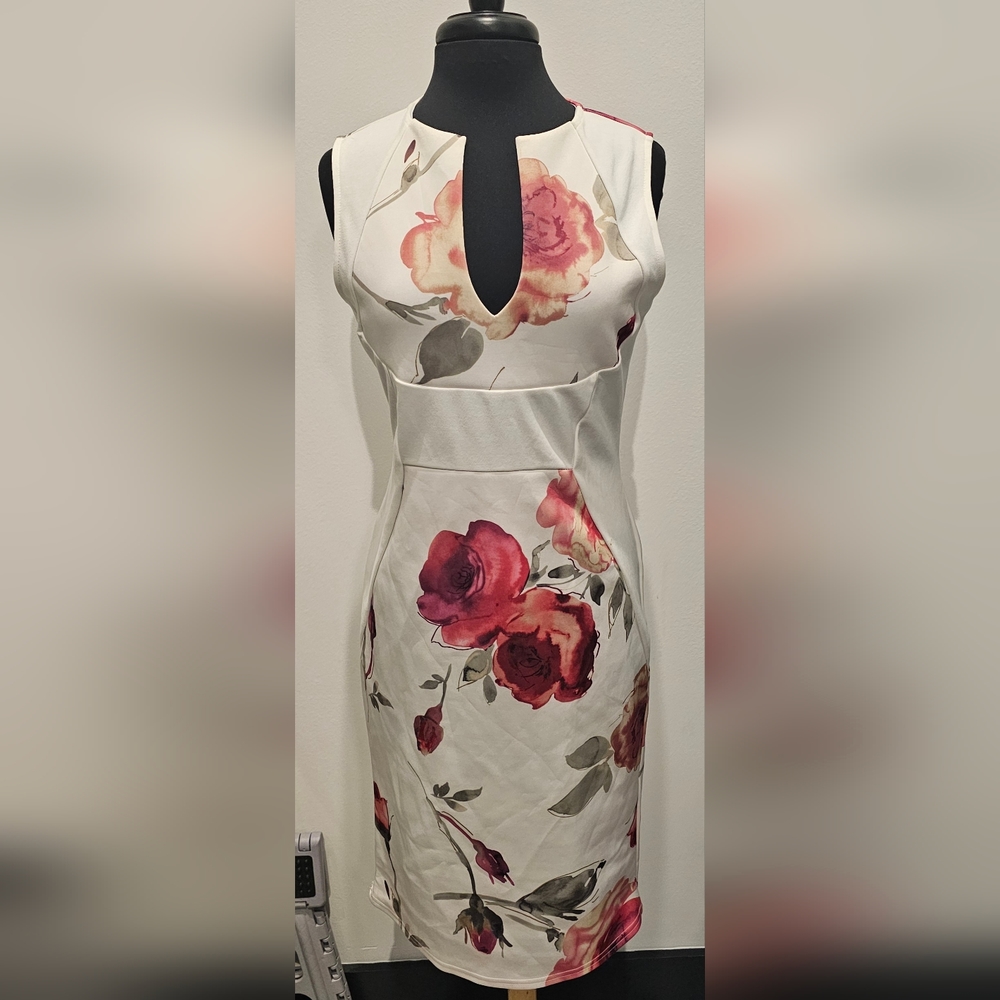 Beautiful Body Contour Dress